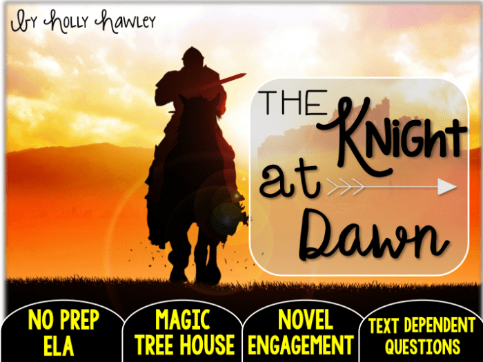 The knight at dawn comprehension questions