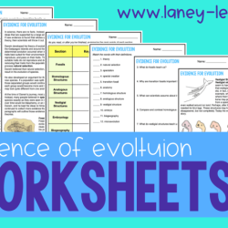 Evidence of evolution webquest answers