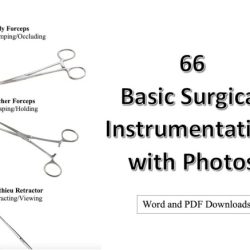 Sterile processing technician study guide pdf